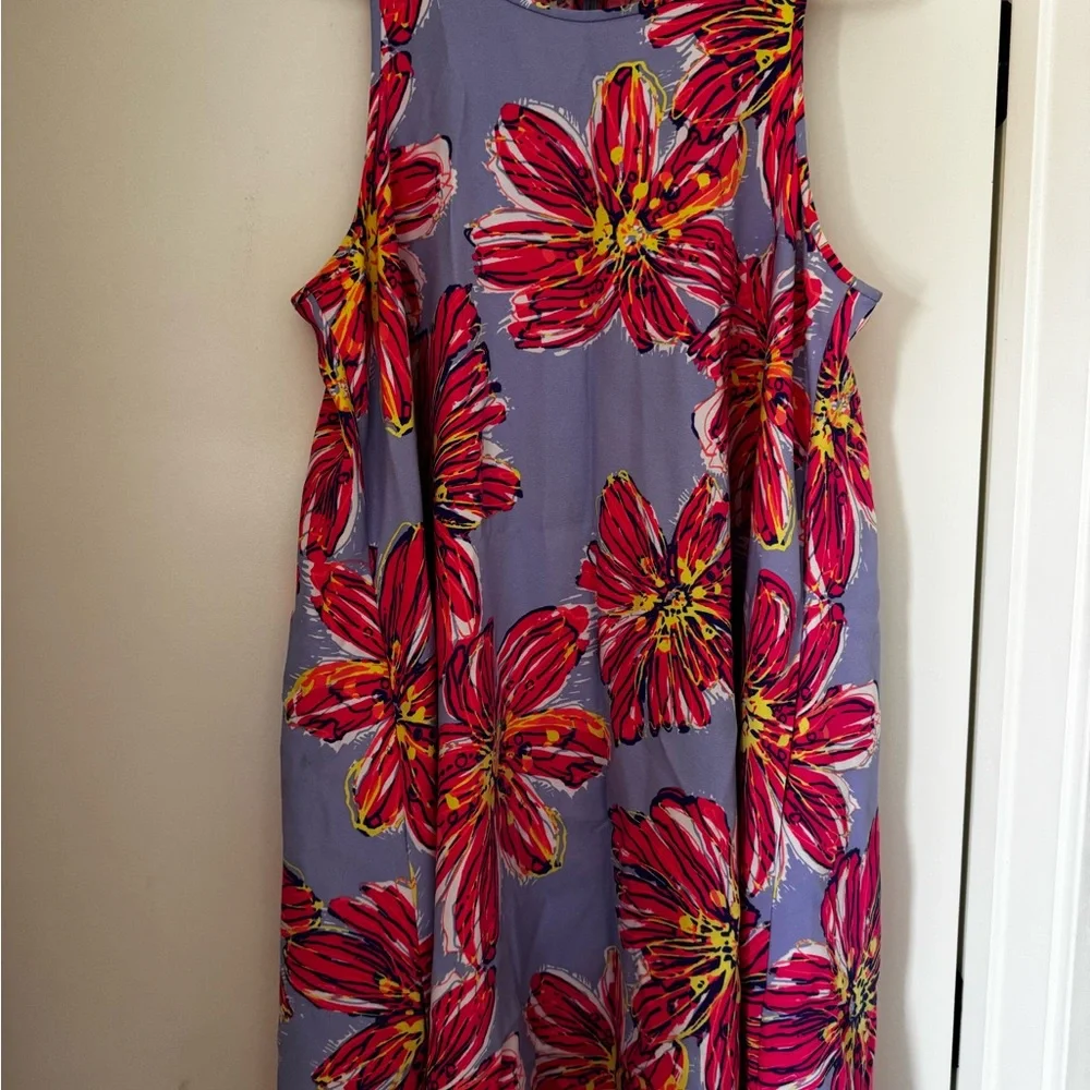 Lilly Pulitzer HTF & Holy Grail Molly Haynes Dress. SZ Large - Picture 3 of 7